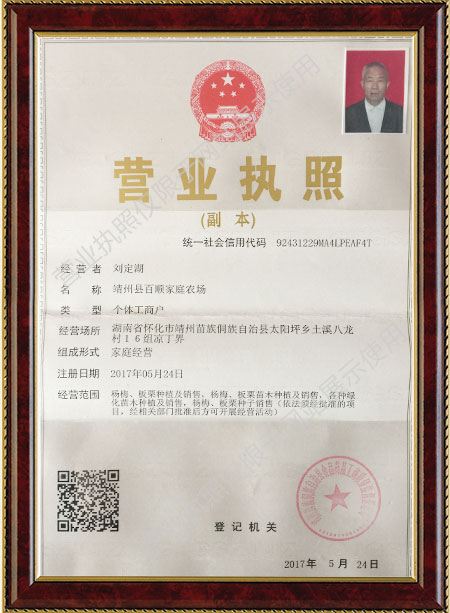 靖州县百顺家庭农场,靖州县家庭农场,苗木育苗嫁接,杨梅苗销售,板栗苗种植 靖州县百顺家庭农场,靖州县家庭农场,苗木育苗嫁接,杨梅苗销售,板栗苗种植