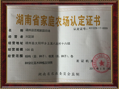 靖州县百顺家庭农场,靖州县家庭农场,苗木育苗嫁接,杨梅苗销售,板栗苗种植 靖州县百顺家庭农场,靖州县家庭农场,苗木育苗嫁接,杨梅苗销售,板栗苗种植