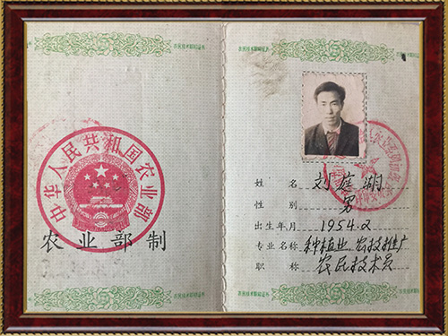 靖州县百顺家庭农场,靖州县家庭农场,苗木育苗嫁接,杨梅苗销售,板栗苗种植 靖州县百顺家庭农场,靖州县家庭农场,苗木育苗嫁接,杨梅苗销售,板栗苗种植